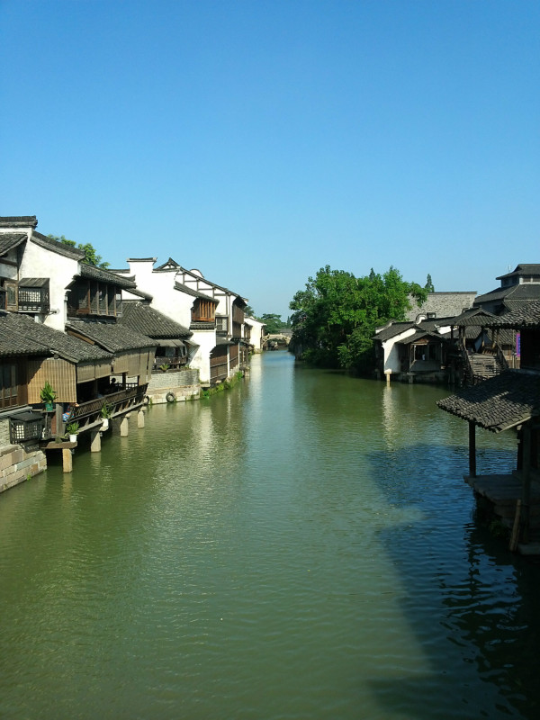 东方明珠浙江,璀璨绽放的东南之光🌟🌸