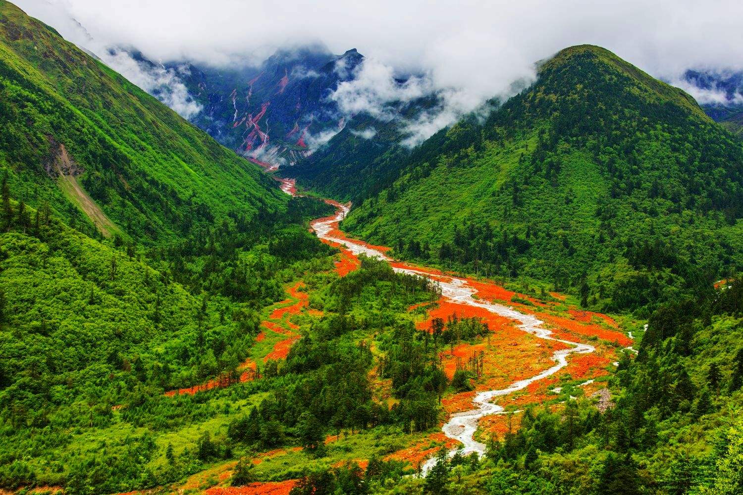 四川美食天堂,人间仙境的味蕾盛宴🍴